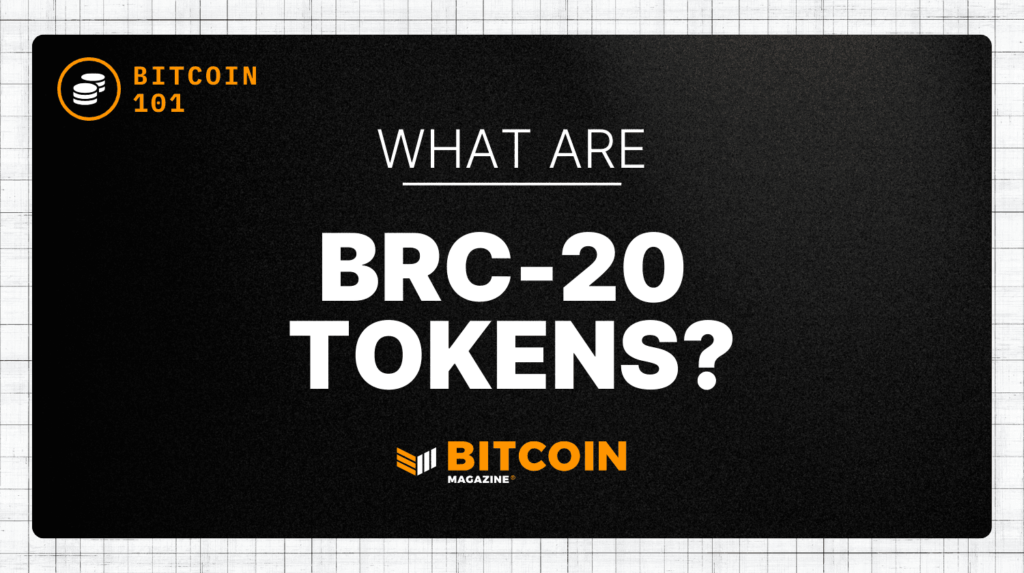 Understanding BRC-20 Tokens: A Comprehensive Guide What Are BRC-20 Tokens? An Introduction