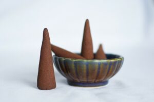 Innovation Alert: DOST Explores Cinnamon and Pili for Next-Gen Mosquito Repellents