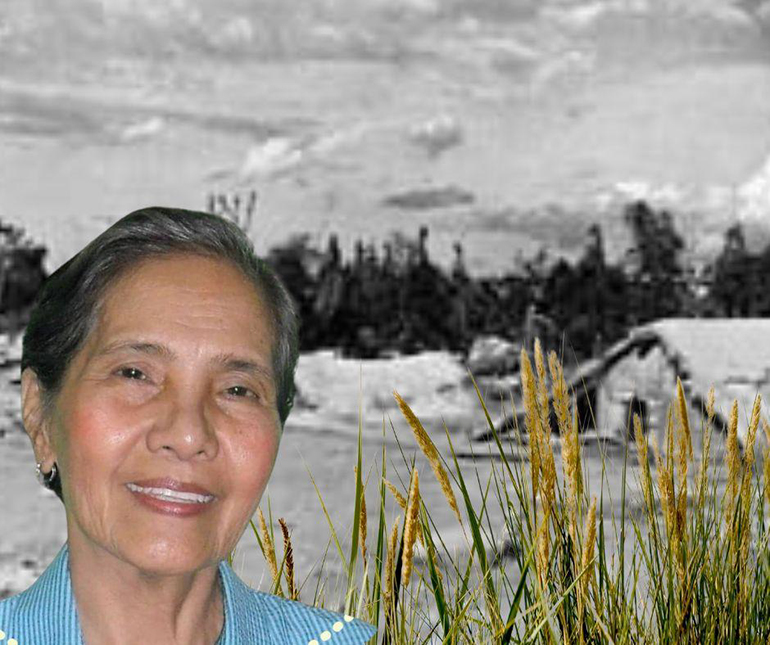 Restoring Soil Health: A Journey Towards Renewal