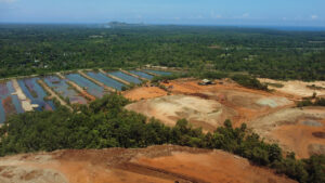 Lawmakers Repeal Export Ban on Ore