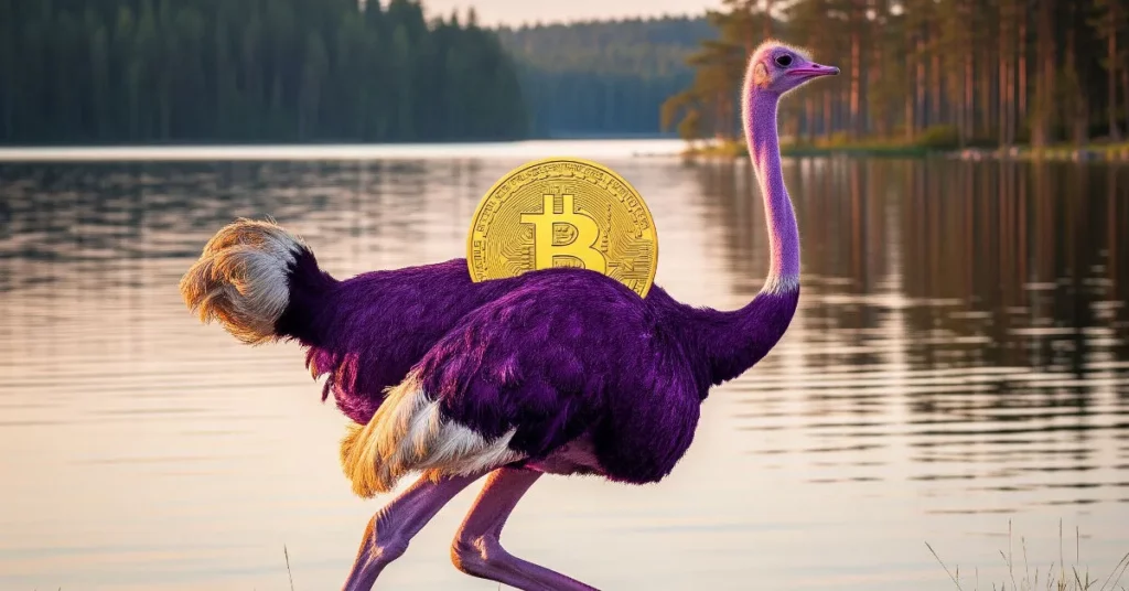 Is Nostr Essential for True Bitcoin Enthusiasts? Joakim Book