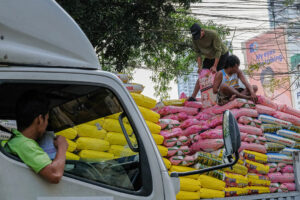 Call for Suspension of Rice Imports by Department of Agriculture